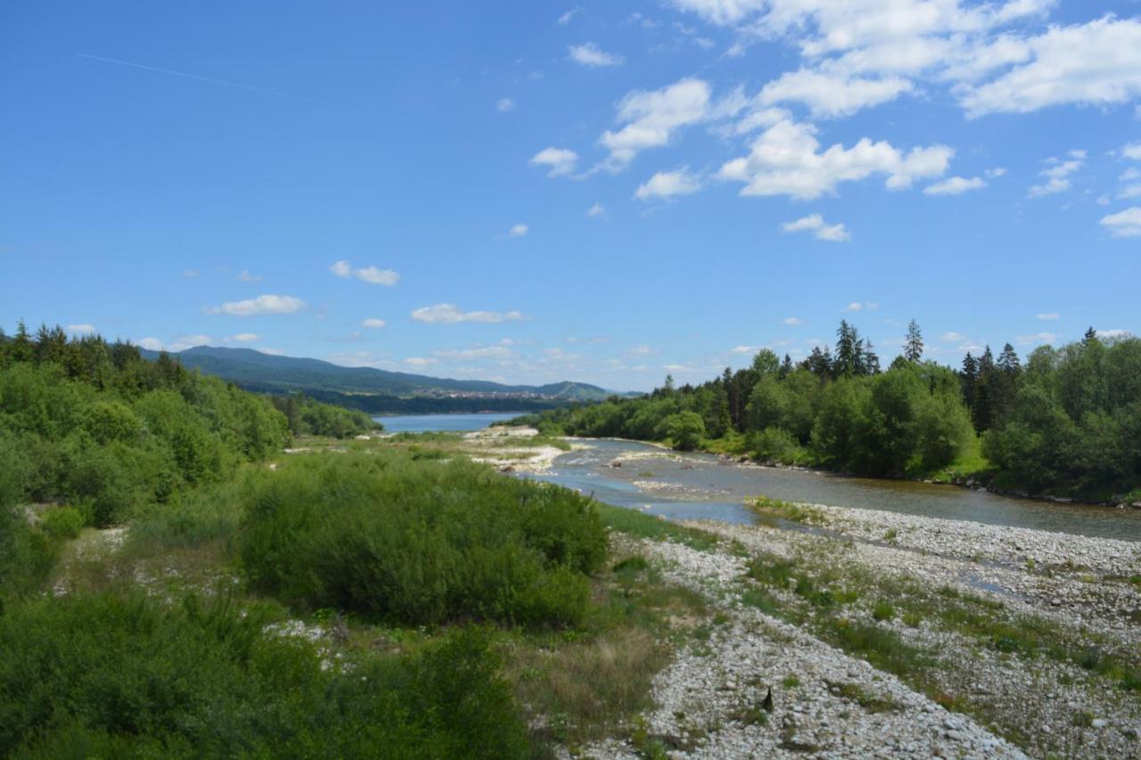 Domki Nad Jeziorem Czorsztynskim Debno  エクステリア 写真